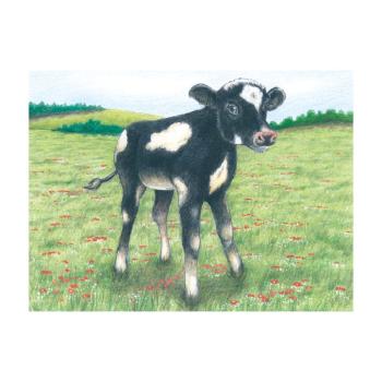 Würfelpuzzle Tiere 9 tlg. aus Holz