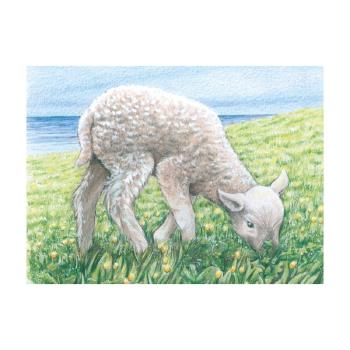 Würfelpuzzle Tiere 9 tlg. aus Holz