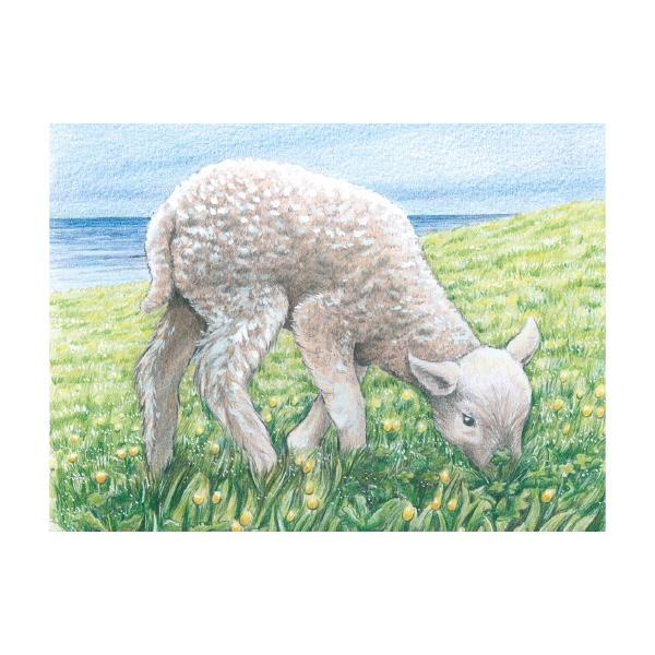 Würfelpuzzle Tiere 9 tlg. aus Holz