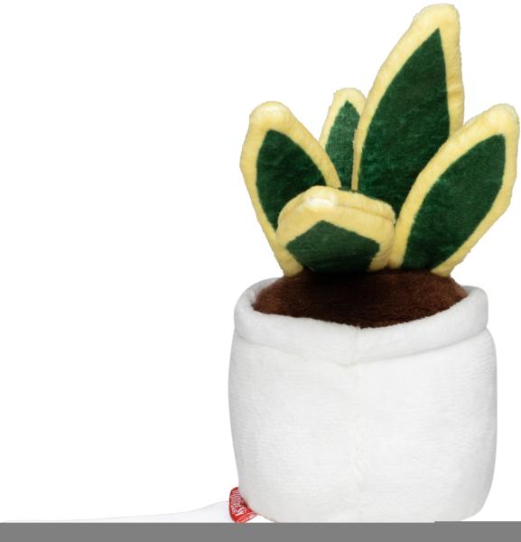 Schmoozies® Evergreenies® Bildschirmreiniger Bogenhanf auf der Unterseite mit Mikrofaser